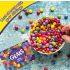 Cadbury Gems Sugar Coated Chocolaty Candy 15.8 g Pouch