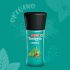 Everest Tasteeto Oregano Herbs 10 g Bottle