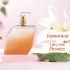 Secret Temptation Adore Perfume | Eau De Parfum For Women 50 ml