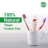 Vicco Vajradanti Ayurvedic Toothpaste Regular Flavour 200 g Tube